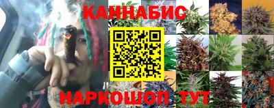 стафф Кимры