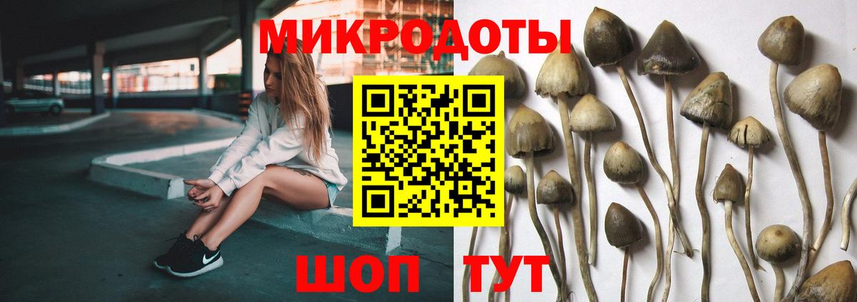 Галлюциногенные грибы Magic Shrooms  Псилоцибиновые грибы MAGIC MUSHROOMS  Вход с VPN  наркошоп  Лениногорск 